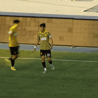 Celebration GIF by FC Kairat