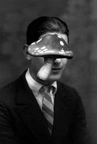 art bill domonkos GIF by Digg