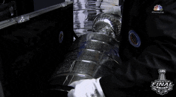 ice hockey sport GIF by NHL
