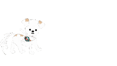 Coffee Nashville Sticker by Our Little World Studio