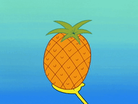 season 8 spongebob's runaway roadtrip: patrick's staycation GIF by SpongeBob SquarePants