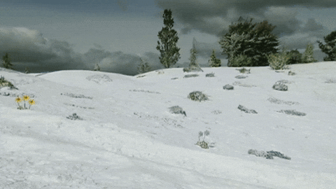 On My Way Hello GIF by Teletubbies