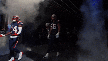 Football Nfl GIF by New England Patriots