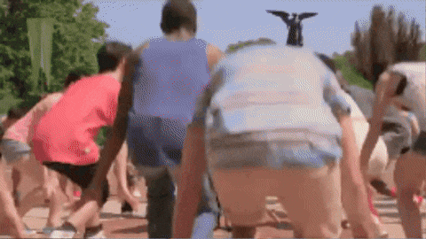 giphy.gif