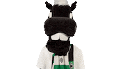 Bundesliga Diefohlen Sticker by Borussia Mönchengladbach