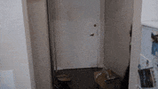 Jenna Marbles GIF by Alayna Joy