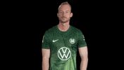 Germany No GIF by VfL Wolfsburg