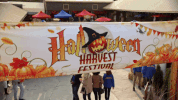 good witch halloween GIF by Hallmark Channel