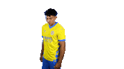 Us Soccer Yes Sticker by Eintracht Braunschweig