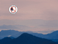 You Can Love GIF by FranchiseONE.de