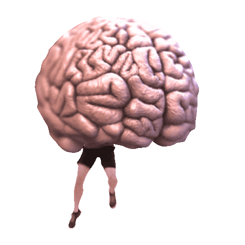 Exercise Studying Sticker by Sholim
