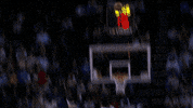 awesome lets go GIF by NBA