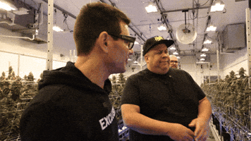 Plant Grow GIF by Exclusive Brands
