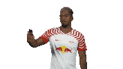 Happy Rb Leipzig Sticker by Bundesliga