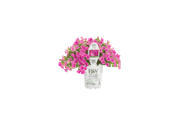 Flower Sticker by provenwinnerseu