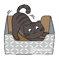 Happy Cat If I Fits I Sits Sticker by Hide & Scratch