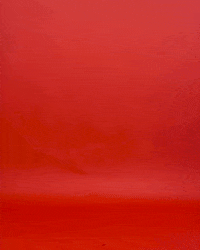 Womens Golf Letsgopeay GIF by Austin Peay Athletics