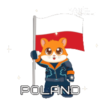 Polish Flag Celebration Sticker by Hamieverse