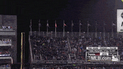 GIF by MLB