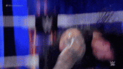 Roman Reigns Sport GIF by WWE