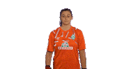 Werderfrauen Emotionen Sticker by SV Werder Bremen