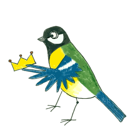 birdlife_cz giphyupload blue yellow bird Sticker
