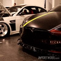 Model GIF by ImportWorx