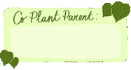 Plants Monstera Sticker