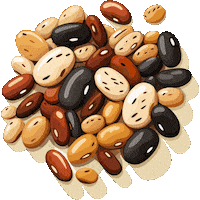 Fagioli Sticker