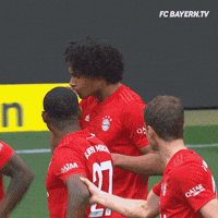 Football Sport GIF by FC Bayern Munich