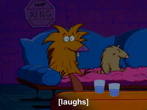 nickrewind giphydvr nicksplat angry beavers giphyab014 GIF