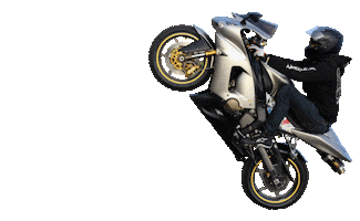 Kawasaki Sticker by WheelieTime