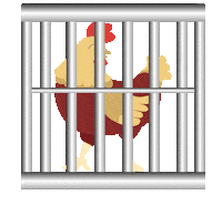 Go Vegan Farm Animals Sticker by Open Cages UA
