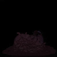 Brain Dead Fly GIF by Miyrumiyru