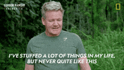 Gordon Ramsay Disney Plus GIF by National Geographic TV