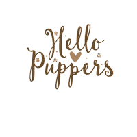 Puppies Hello Sticker by Winkeltjevanbeer