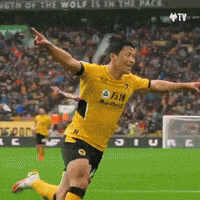 Premier League Football GIF by Wolves