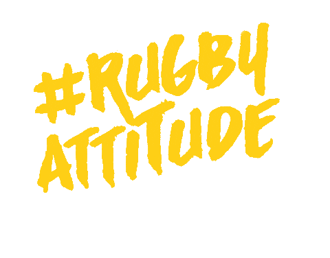 Belgium_Rugby giphyupload rugby check attitude Sticker