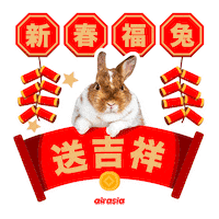 Chinese New Year Bunny Sticker by airasia