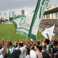 Goiasec GIF