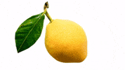 Lemon Citron GIF by Cedric Grolet