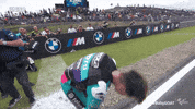 Happy World Champion GIF by MotoGP™