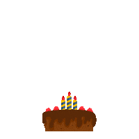 Happy Birthday Celebration Sticker by MutlulukDeninceAkla