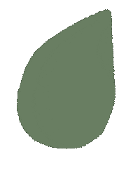 Leaves Leaf Sticker by Сойкин след