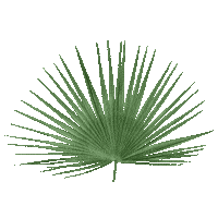 Summer Spring Sticker by Vnukovo Outlet Village