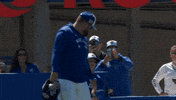 Blue Jays Mlb GIF by Toronto Blue Jays