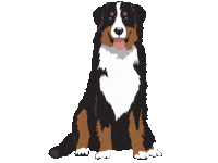 BARKHAVEN barkhaven barkhavendogbar barkhavendogs dogparkbar Sticker