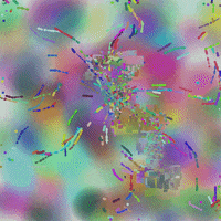 GIF by Boopy Club
