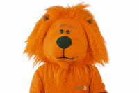 happy football GIF by ING-DiBa Austria