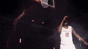 Santa Clara University Go Broncos GIF by Santa Clara Broncos